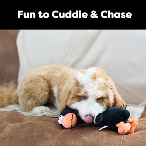 SPOT Chirpies Plush Dog Toy – Bird Sound Squeaky Toy for Small and Medium Dogs, Light to Moderate Chewers, Stretchy Bungee Neck, Recycled Stuffing – 14 in, Assorted Styles