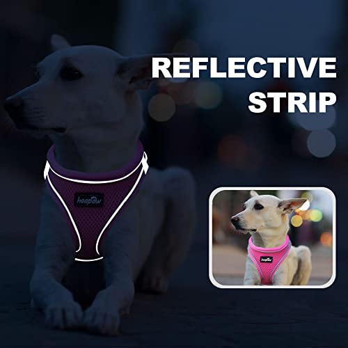 haapaw Dog Harness with Leash Set, No Pull Adjustable Reflective Step-in Puppy Harness with Thickened Padded Vest for Extra-Small/Small Medium Dogs - color: Grey / Pink, size: XS