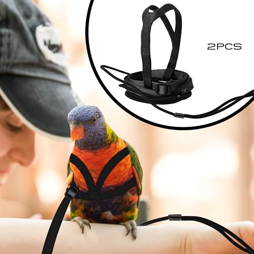 2 pcs Pet Parrot Bird Harness and Leash, Adjustable Training Design Anti-Bite, Outdoor Flying Training Rope Kit for Bird Parrots Fits Birds Chest Between35-62cm /13.78-24.41inch - L (Black) - color: black, size: L