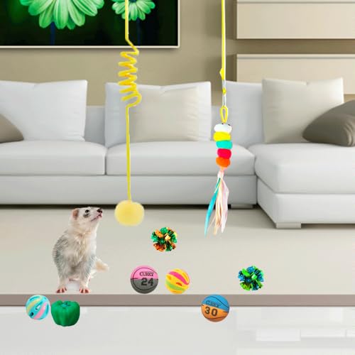 15pcs Ferret Squeaky Toys Set Rubber Balls Ferret Teeth Grinding Chewing Balls Teething Bouncy Bell Ball Interactive Sound Squeaker Toy Exercise Scratch Chew Toy for Ferrets Pet Cat Dog Small Animals