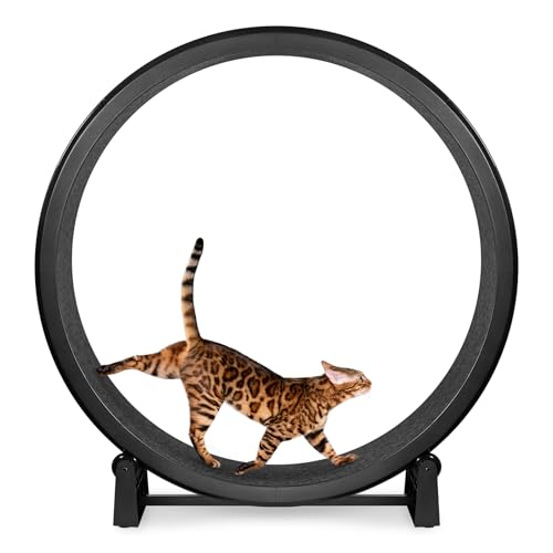 One Fast Cat - Cat Exercise Wheel - Made in the USA - 48" Diameter - Gen. 7 - color: Black Wheel / Black Felt / Black Inline