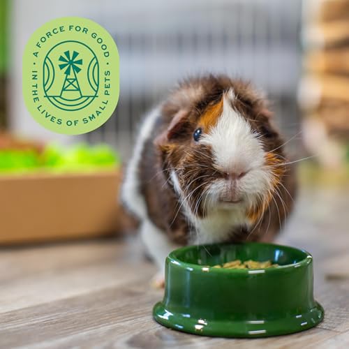 Oxbow Essentials Adult Guinea Pig Food - All Natural Adult Guinea Pig Pellets- No Artificial Ingredients- Veterinarian Recommended- All Natural Vitamins & Minerals- Made in the USA - 25 lb. | Guinea Pig Pellets, Vitamin C For Guinea Pigs, Stabilized, High