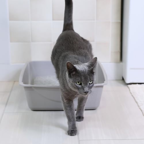 Petmate Open Cat Litter Box; Large Nonstick Litter Pan Durable Standard Box, Grey Great for Small & Large Cats Easy to Clean; Made in USA | Easy to clean standard tray for small and big felines, smooth surface releases clumps, simple everyday scooping and