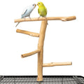 Bird Perch for Top of Cage, Natural Wood Play Stand