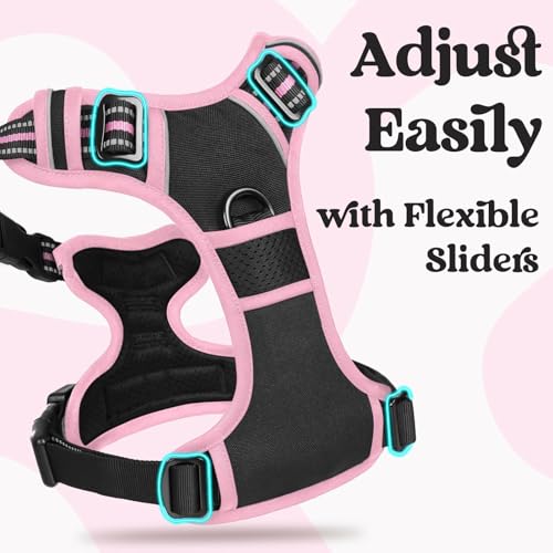 rabbitgoo Dog Harness Small Sized, Updated Easy On & Off with 3 Buckles | No Pull No Choke, Walking with 2 Clips and Handle, Adjustable Soft Reflective, Black & Pink, Small - color: Black & Pink, size: Small