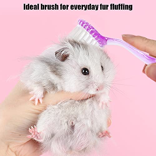 2 Pack Hamster Brush, Guinea Pig Massage Combs, Hedgehog Supplies - color: Purple