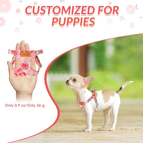Lukovee Puppy Harness and Leash Set, No Pull, Lightweight Step in Vest | Adjustable, Soft Suede Vest, Easy Put on and off Pet Harness with Snap Buckle & 51in Leash for Small Medium Dogs (Pink-R, S) - color: Pink Rose, size: Small ( 9-17.5lb )