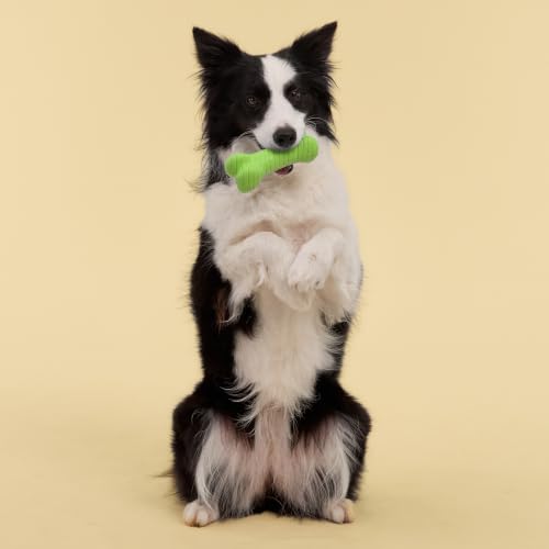 Playology Dual Layer Bone Dog Chew Toy - Jumbo, Sweet Potato Scent | Rubber Construction, All Natural Scent, Heavy Duty Design - size: Jumbo, style: Sweet Potato
