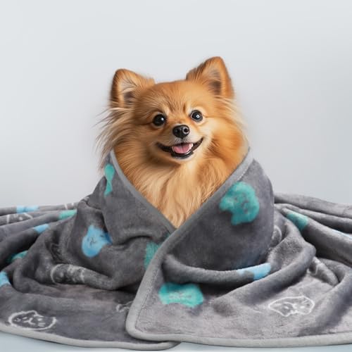 1 Pack 3 Blankets Super Soft Fluffy Premium Cute Cat Pattern Pet Blanket Flannel Throw for Dog Puppy Kitten Blue/Cyan/Grey Large(41x31 inch) - color: Blue/Cyan/Grey, size: 41x31 inch (Pack of 3)