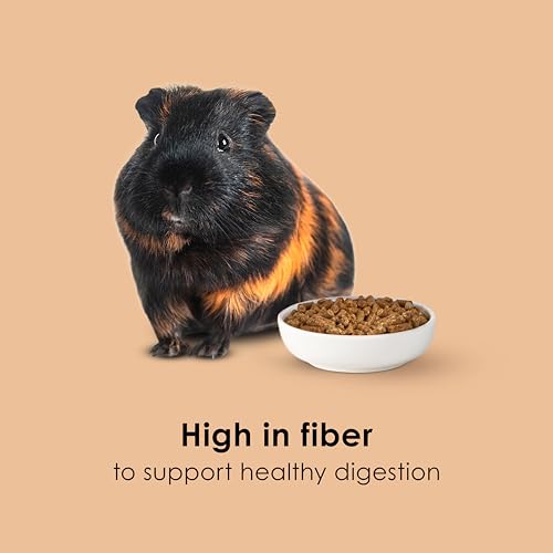 Kaytee Timothy Complete Guinea Pig Food, Made with Timothy Hay, High in Fiber, Supports Dental Health and Digestion, Long-lasting Vitamin C, 9.5 pounds - size: 9.5 Pound (Pack of 1)
