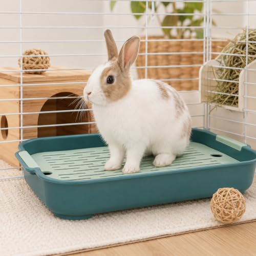 Garneck Guinea Pig Litter Box Rabbit Toilet Tray: Bunny Cage Litter Pan with Grid for Small Animal Potty Training Pet Toilet for Guinea Pig Rabbit Ferret Easy Clean