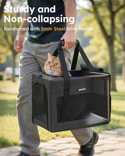 Pecute Cat Carrier, Portable Dog Carrier with Stable Structure, Dark Grey | Larger Space, 360° Ventilation & Comfort, Escape-Proof, for Travel / Car Trips / Vet Visits, Fits Cats up to 11 lbs - color: Dark Grey