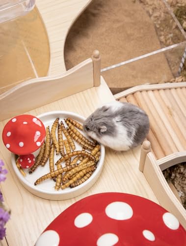 Niteangel Small Animal Snack & Treats - Dried Worms & No Additive | Delivers Essential Vitamins & Minerals- Small Animal Natural Treat for Dwarf Syrian Hamsters Gerbils Mice Degus or Small Pets