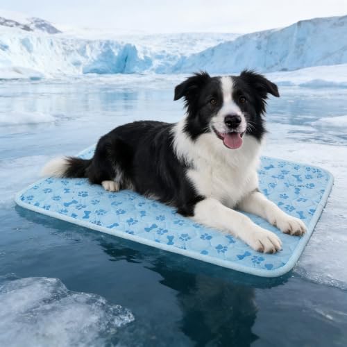 Cooling Mat for Dogs, Q-Max 0.5 Dog Cooling Pad | Lightweight Portable, Non-Toxic Washable, Ideal for Pet Bed, Crate & Car to Relieve Summer Heat - size: Medium