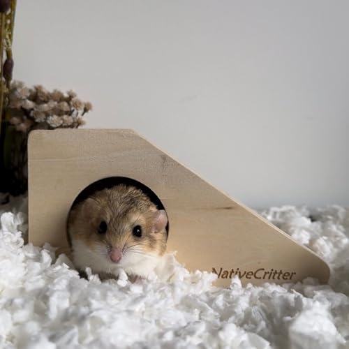 Exotic Nutrition Climber Cave - Fun & Unique Cage Accessory for Dwarf Hamsters, Golden Hamsters, Degus, Gerbils and Other Small Animals