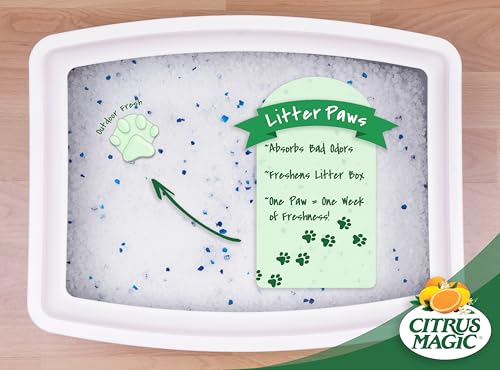 Citrus Magic Pet Odor Control Paws for Litter, Outdoor Fresh, 6-Count, Pack of 2 - size: 6 Count (Pack of 2)