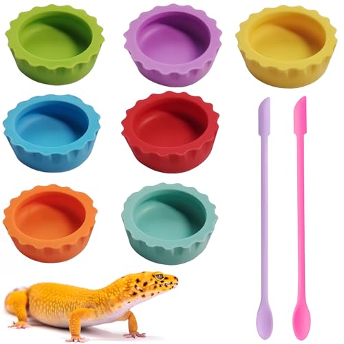 9pcs Crested Gecko Tank Accessories:Food Dish& Feeding Cups - Gecko Feeder &Corner Water Bowl for Reptile Tanks