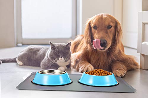 Stainless Steel Dog Bowls, Food and Water Non Slip Anti Skid Stackable Pet Puppy Dishes for Small, Medium and Large Dogs (2 Pack) - color: Blue, size: 1.5 Cup/12 oz