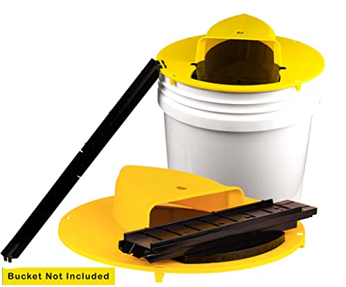 RinneTraps - Flip N Slide Bucket Lid Mouse Trap |2 Pack| |Multi Catch| |Made in USA | US Pat D1,039,648s
