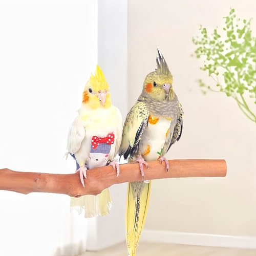 2Pcs Bird Diapers Bird Harness Flight Suits Diapers with 80 Inch Flying Leash Parrot Nappy Washable Cute Urine Wet Suit for Cockatiel Conure Macaw Budgies Parakeet-Rabbit&Kitten,S - size: S