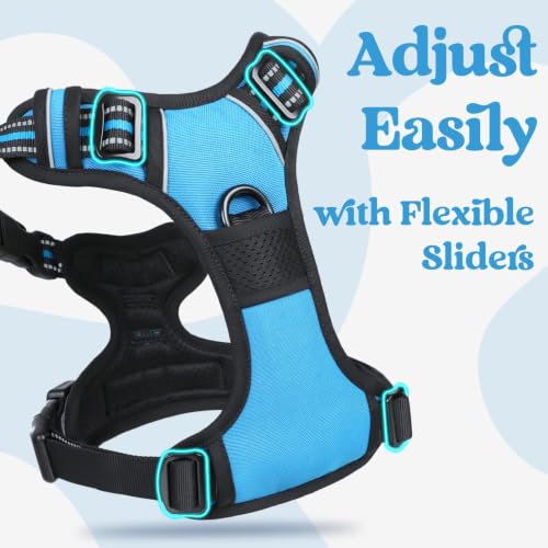 rabbitgoo Dog Harness Small Sized, Updated Easy On & Off with 3 Buckles | No Pull No Choke, Walking with 2 Clips and Handle, Adjustable Soft Reflective, Sky Blue, Small - color: Sky Blue, size: Small