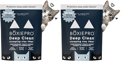 Boxie® Probiotic 40 Day Natural Odor Control Cat Litter, 16lb Clumping Clay Kitty Litter (Pack of 2) - size: 16 Lb (Pack of 2)