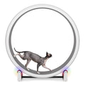 One Fast Cat - Cat Exercise Wheel - Made in the USA - 48" Diameter - Gen. 7 | White with Gray Felt Traction Pads and Light-Up LED Inline Wheels - color: White Wheel / Gray Felt / LED Inline