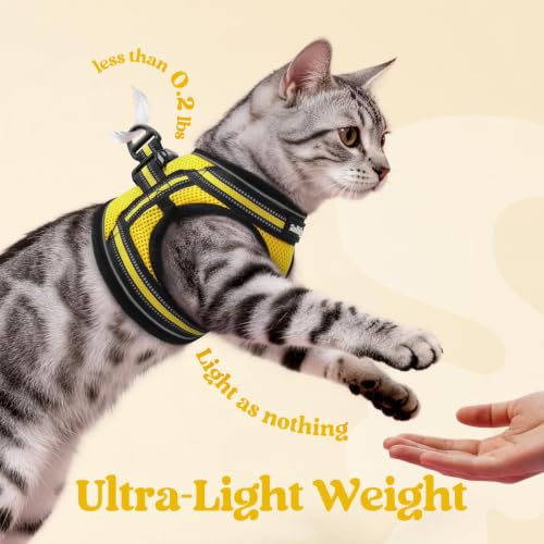rabbitgoo Cat Harness and Leash Set, Step-in Soft Vest, Bright Yellow | Escape Proof, Lightweight, Easy-on & Adjustable, Hook & Loop with Buckle, Reflective, for Kittens & Small Cats Walks, S - color: Bright Yellow, size: S