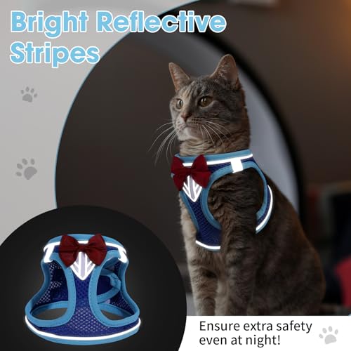 Cat Vest Harness and Leash Set, Escape Proof Kitten Harness Blue XS | Safe Reflective Strips, Adjustable Easy Wear Kitty Harness, Sturdy Clip Buckle, Breathable Mesh , for Kitty Puppy Bunny Walks - color: Blue, size: XS