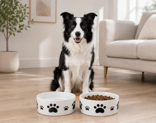 Ceramic Dog Bowls Set, 6.5''×2.5'', with Anti-Slip Rings, 3 Cups Capacity - size: 6.5 in