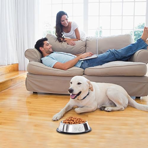 10 Pcs Stainless Steel Dog Bowl Pet Feeding Bowl with Rubber Base Non-Slip Pet Dishes Metal Dog Bowls Pet Food and Water Bowls for Small Medium Animals Kitten Rabbit (18.6 oz) - size: 18.6 oz
