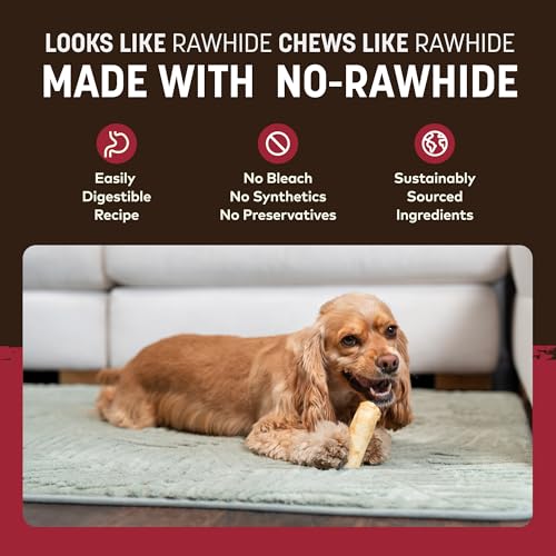 Earth Animal No Hide Dog Chews - Rawhide Free Small Rolls 6 Count Beef | Small Rolls Beef Flavored Natural Rawhide Free Long Lasting Dog Chews - Pet Treats for Small Dogs - size: 6 Count (Pack of 1)