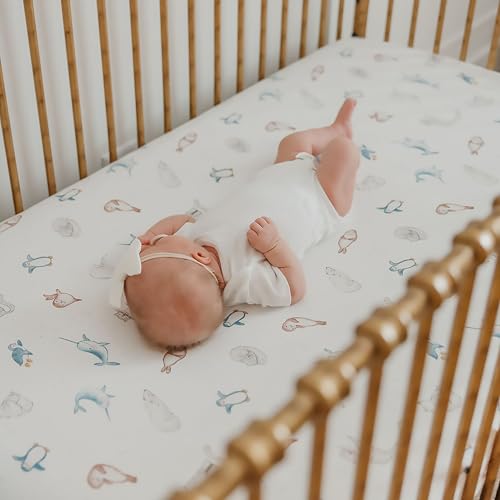 Arctic Wonder Premium Crib Sheet - color: Arctic Wonder