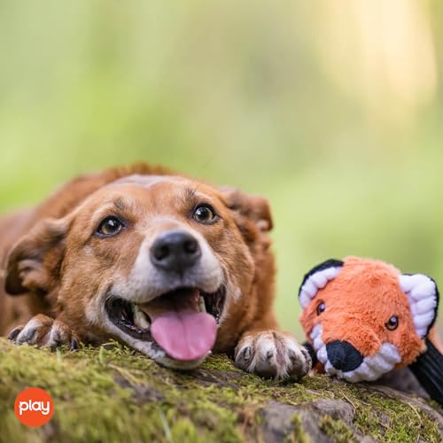P.L.A.Y. Cute Plush Dog Toys - Forest Friends Critter Themed Durable Squeaker Crinkle Chew Toy, Great for Puppies & Small, Medium, Large Dogs - Machine Washable, Recycled Materials (Fox) - style: Forest the Fox