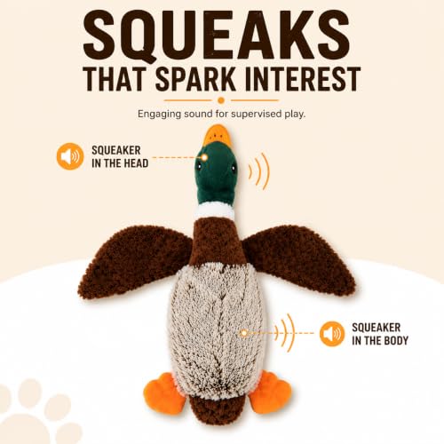 Duck Dog Toy Squeak Toys | Mallard-Shaped | Shaped Pet Toys | Duck Dog Toys for Large Dogs | Mallard Dog Toy | Dog Chew Toys | Stuffed Toys Interactive Animal.
