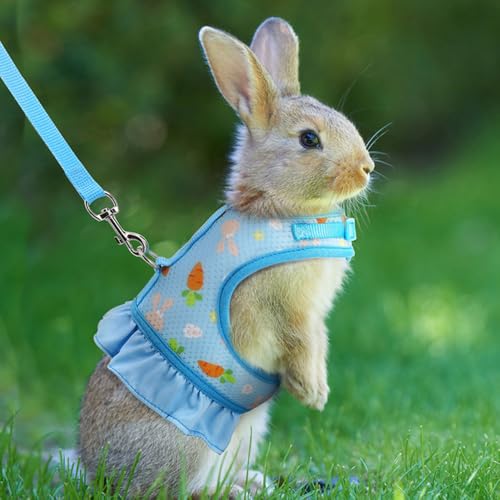 Rabbit Harness and Leash Set, Bunny Vest Guinea Pig Clothes Ferret, Blue S | Soft Mesh Vest Set Escape-Proof Cute Carrot Pattern for Rats Hamster Chinchilla Small Animals Cat Kitten Puppy - color: Blue, size: S (neck:5.5"-7.1" chest:7.1"-9.4")