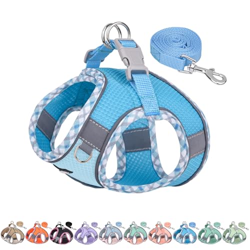 Dog Harness and Leash Set - Ultra-Comfortable XXS-XL Vest with Strong Magic Tape & Glow-in-Dark Reflective Strips, Chafe-Free for Teddy, Schnauzer (Blue, M) - color: Blue, size: M(Chest: 15 - 17")