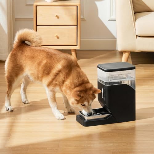 ZOMISIA Automatic Dog Water Dispenser 8L with Stainless Steel Bowl, Gravity Large Capacity Water Bowl for Dogs, 2 Gallon Pet Waterer 100% BPA Free, Black - color: Black, size: 8L