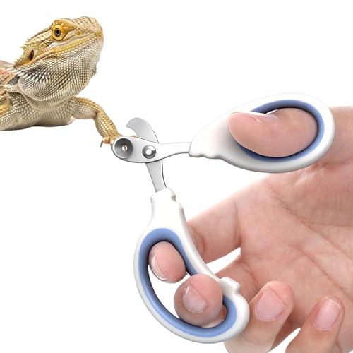 Stainless Steel Bearded Dragon Nail Clippers, Small Animal Nail Clippers, Cat Nail-Clipper, Professional Reptile Grooming Tool with Precise Angled Edge, Claw Trimmer for Birds, Cat, Dog Small Animals