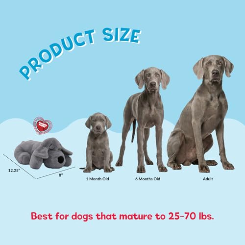 Snuggle Puppy Heartbeat Toy, Calming Comfort, Medium Breeds - Gray | Calming heartbeat toy, crate training comfort, heat pack, new puppy essentials, first nights, sleep, medium breeds 25-70 lbs - color: Grey