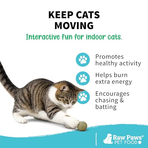 Raw Paws Catnip Balls for Cats (6-Count) - Interactive Indoor Cat Toy | Natural Compressed Natural Catnip - Cat Lick Balls - Catnip Roller Balls - Play & Enrichment Toy - Fresh Dried - No Additives