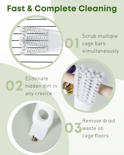 Pawfly 2 Pcs Bird Cage Cleaner Brush, 2-in-1 Bird Cage Cleaning Brush, Bird Poop Remover for Perches, Kennels & Small Animal Cages, Bird Cage Accessories, Bird Droppings Removal Brush - color: Green