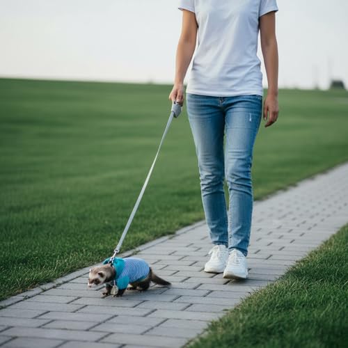 Small Pet Harness Vest and Leash Set Ferret Clothes Hoodies for Ferrets for Outdoor Walking Rabbit Ferret Guinea Pig Bunny Hamster Puppy Kitten (Blue and White Striped Clothes + Leash) - color: Blue and white striped clothes + leash