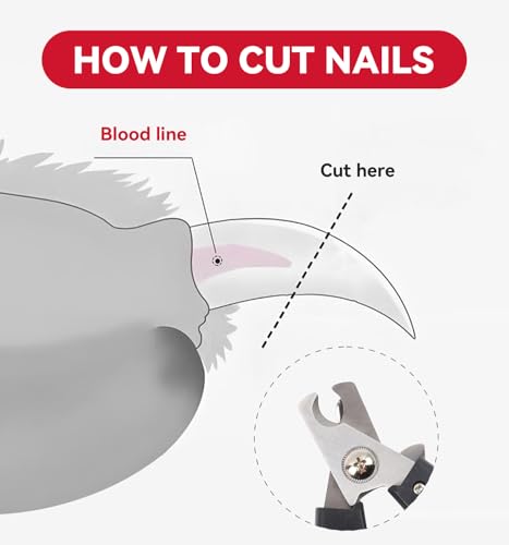 4.72 inch Dog Nail Clippers for Small Dogs with Free Nail File | Ultra Sharp Stainless Cat Nail Clippers with Guard for Dogs, Cats, Rabbits and Guinea Pigs (C Style) - color: Small Style C