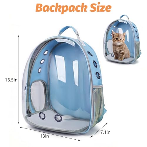 kathson Bearded Dragon Carrier with Harness and Leash Set, Large Reptile Travel Carrier Portable Lizard Backpack Clear Small Animals Carrying Bag for Gecko Hamster Rabbit Hedgehog Kitten (Blue) - color: Blue