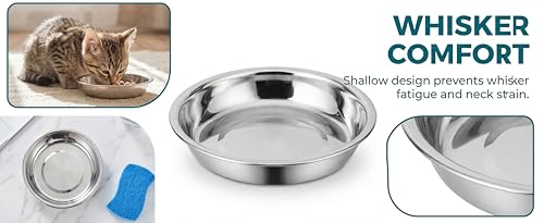 304 Stainless Steel Cat Bowls for Cats & Dogs (4Pack) - Food Grade, Non-Toxic, Rustproof, Dishwasher Safe, Wide Whisker Friendly Cat Food Water Feeding Bowl - color: Stainless Steel-4p