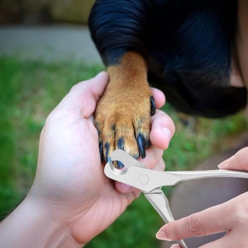 JIEYAO Stainless Steel Dog Nail Clippers, Heavy Duty Pet Nail Trimmer Full Metal Professional for All Large Medium Small Dogs Cats with Thick Toenail