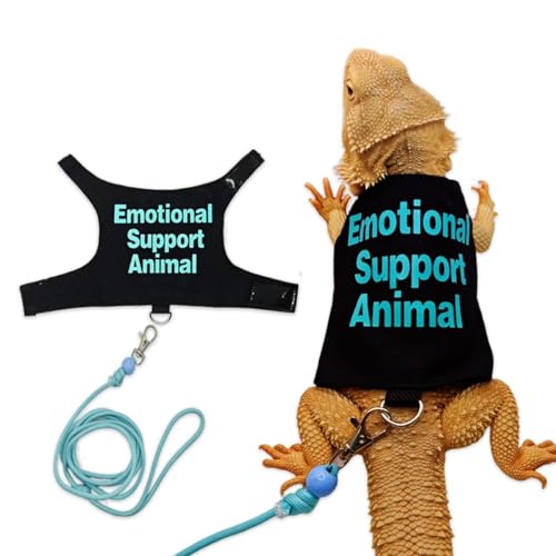 Bearded Dragon Lizards Clothes with Leash Set for Small Pets Reptiles Guinea Pig Apparel Lizards Outdoor Walking Training Harness Leash Hand-Made Costume Photo Prop (Green) - color: Green