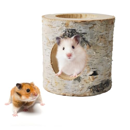 Dwarf Hamster Wood Tunnel,Hollow Trunk Hole Mice Tube Gerbil Cage Accessories for Chewing Climbing Small Animal Natural Birch Hideout