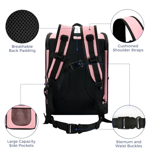 Apollo Walker Cat Carrier Backpack for Small Dogs and Cats Up to 18 lb | Side Pockets, Four-Sided Breathable Mesh, Stability Package, Removable Pad,3D back panel,Thickened shoulder straps - color: Pink